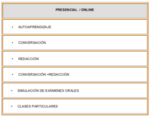 curso euskera verano donostia